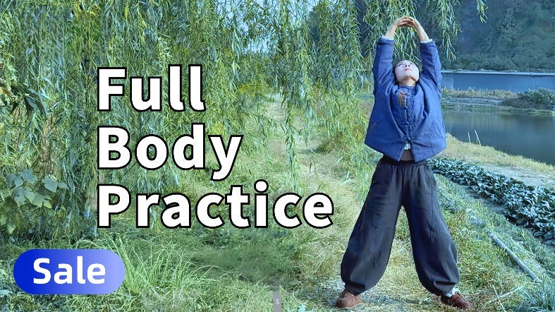 Full Body Practice | 8 Moves